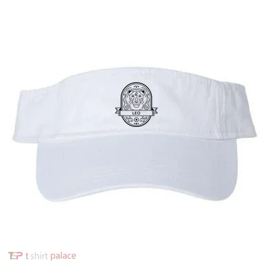 Visor