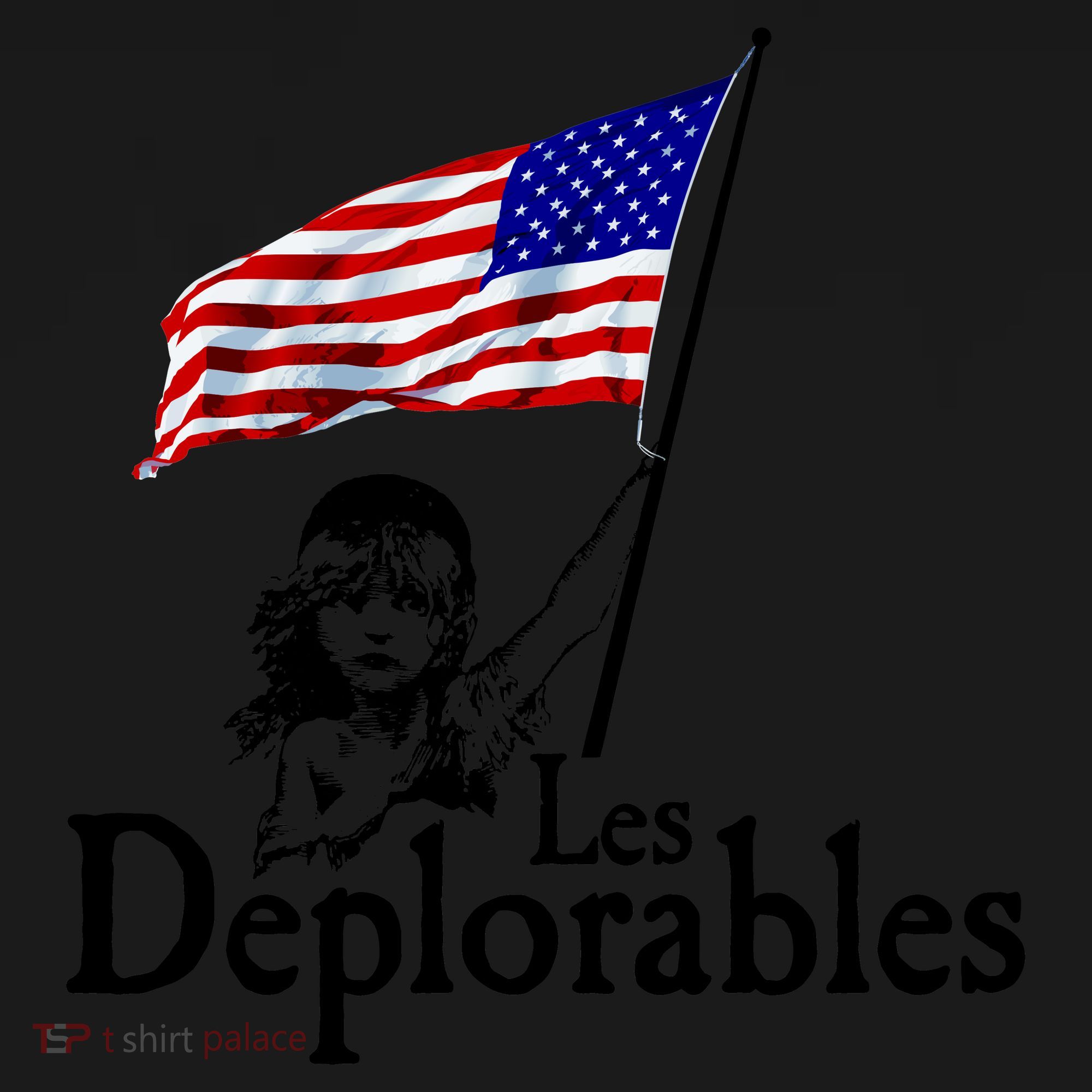 Les Deplorables USA Flag Parody Vote Trump 2016 Backpack
