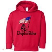 Les Deplorables USA Flag Parody Vote Trump 2016 Toddler Hoodie thumb 0