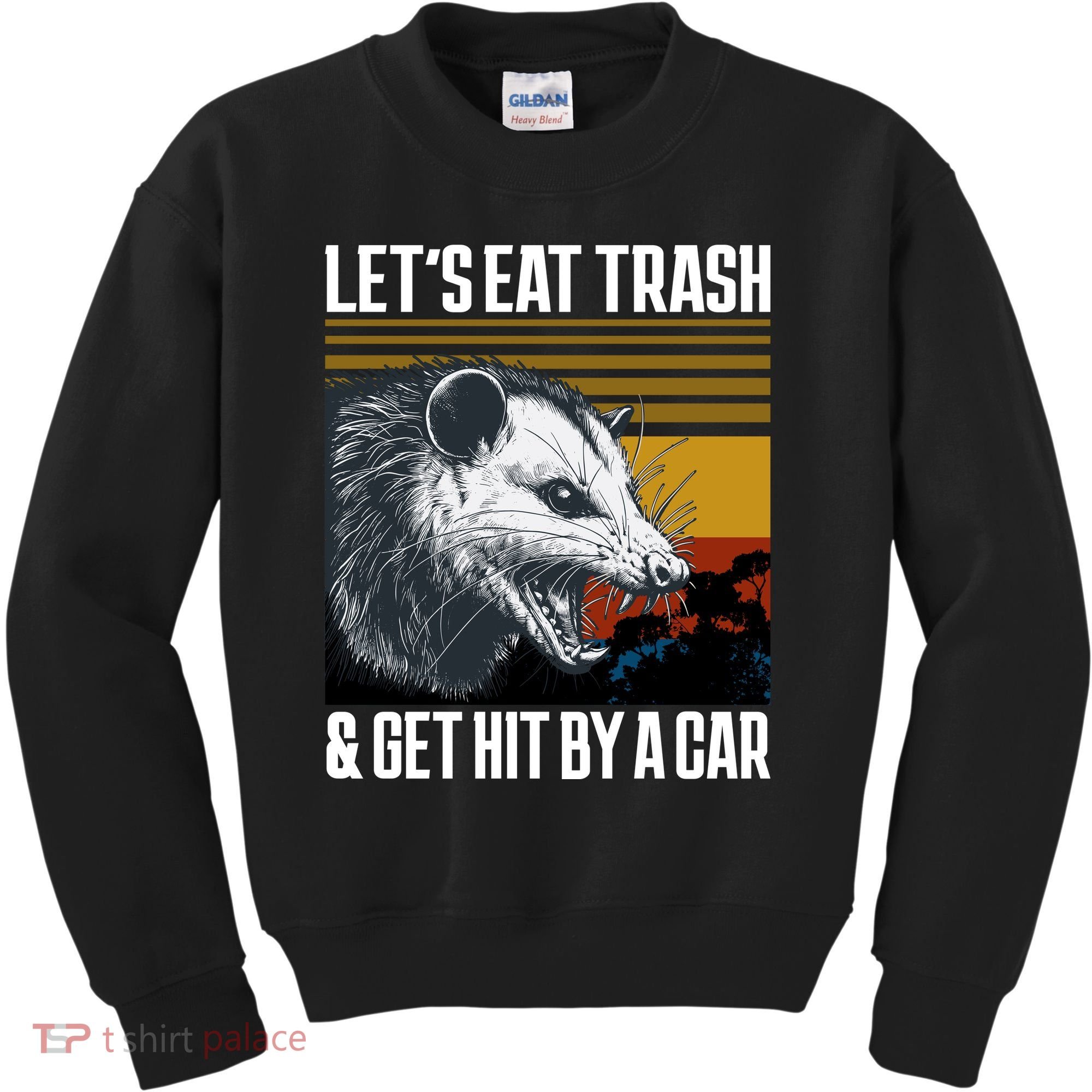 LetS Eat Trash Get Hit By A Car Possum Kids Sweatshirt