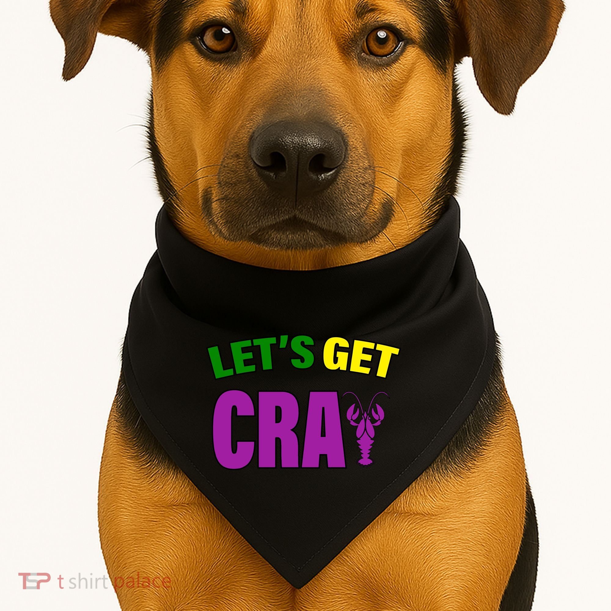 Lets Get Cray Mardi Gras Party USA-Made Doggie Bandana