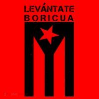 Levantate Boricua Flag Ricky Renuncia Santa Hat thumb 1