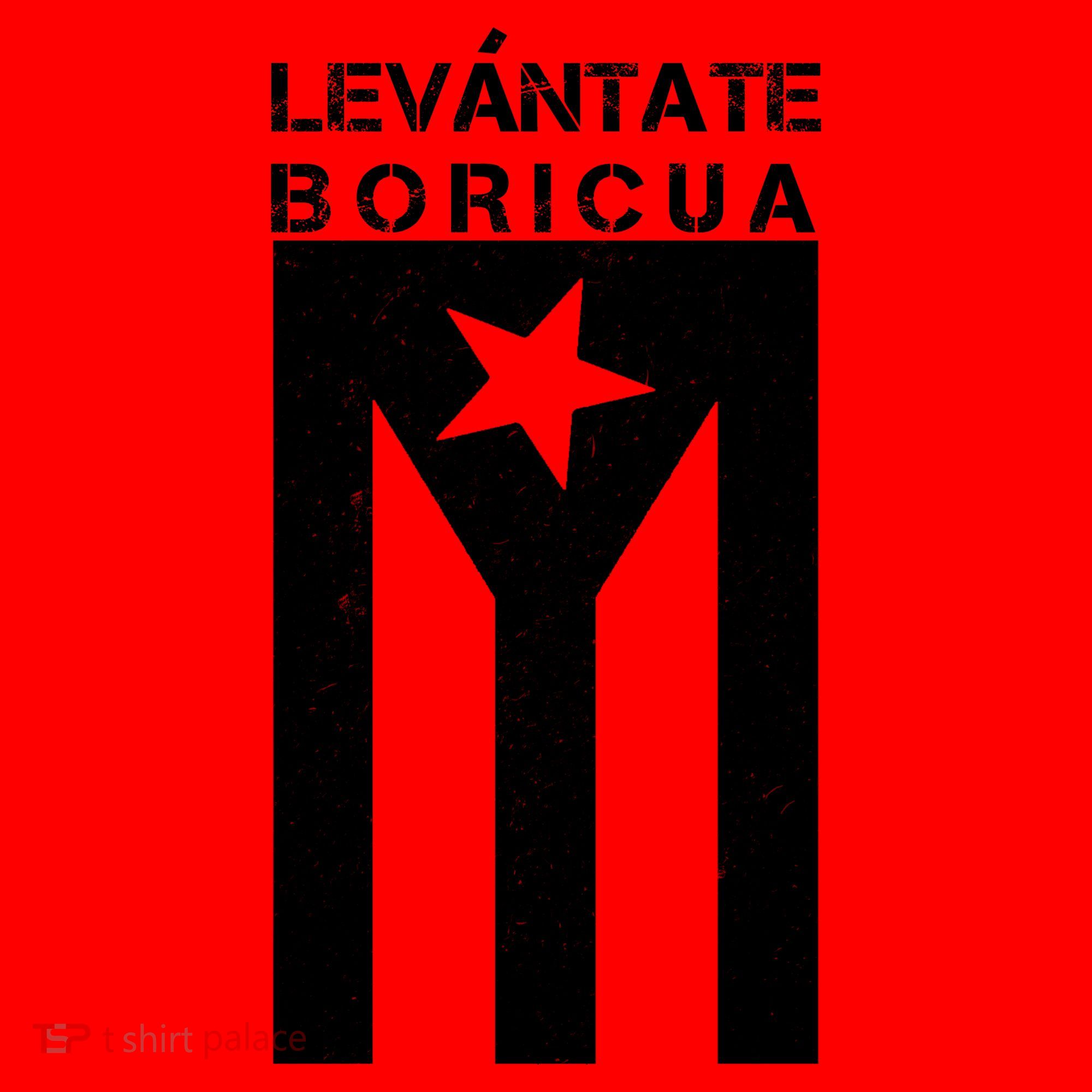Levantate Boricua Flag Ricky Renuncia Santa Hat
