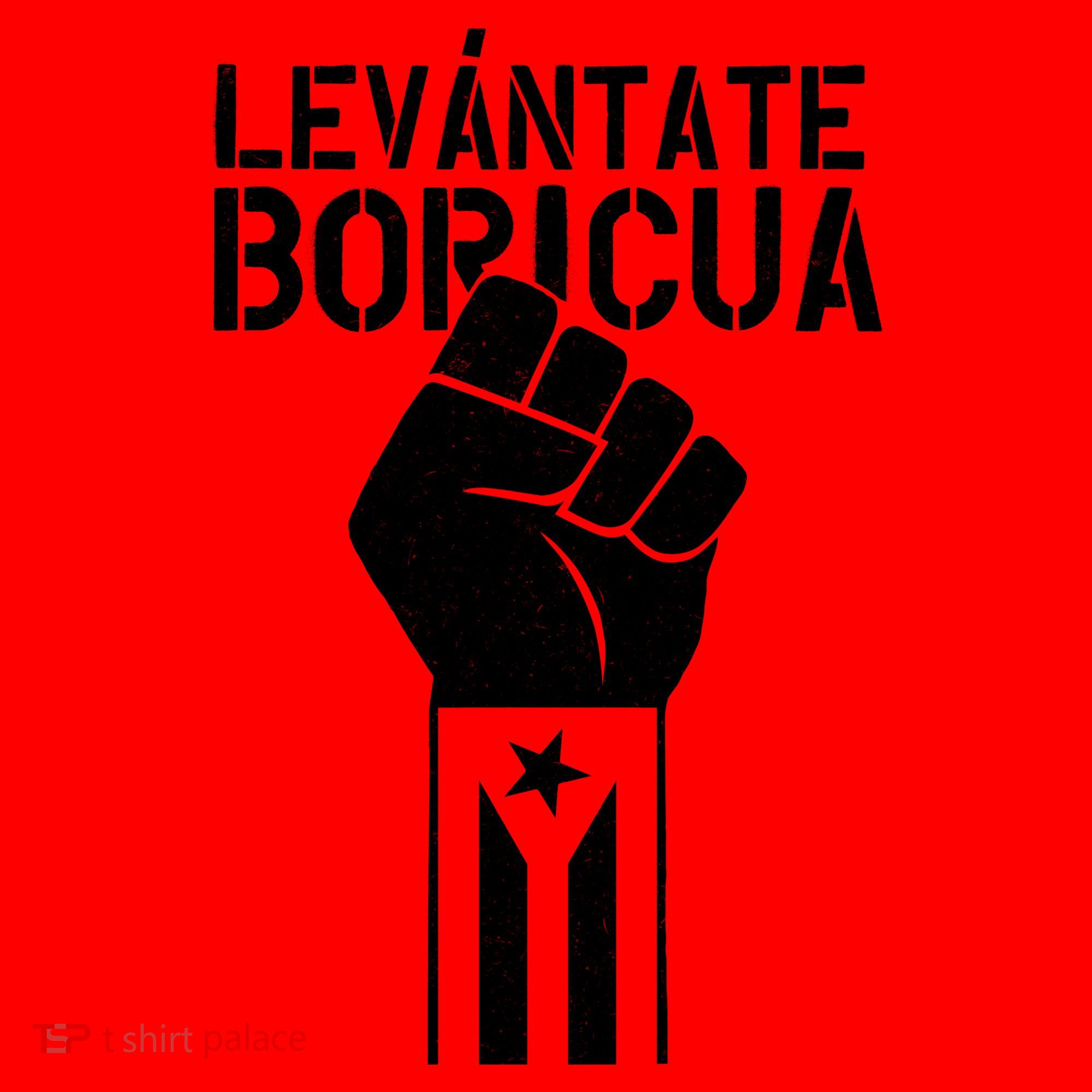 Levantate Boricua Ricky Renuncia Puerto Rico Santa Hat