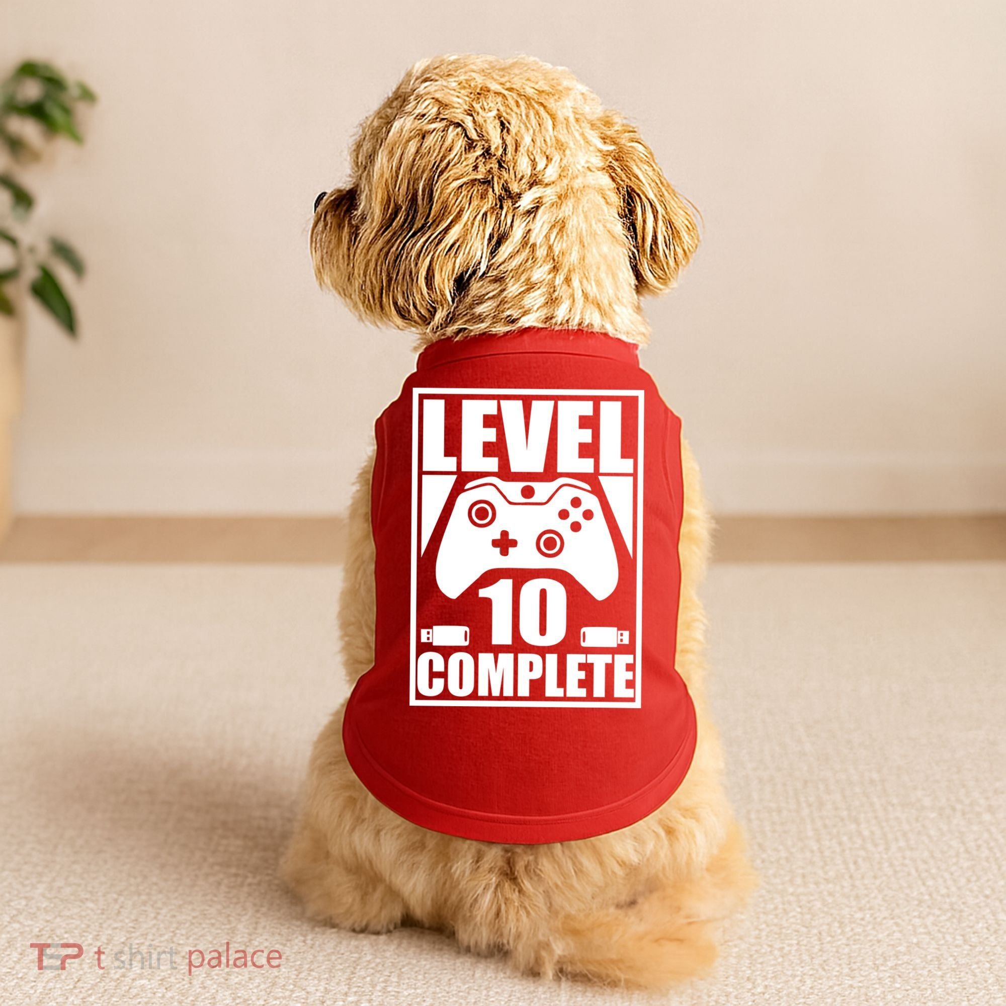Level 10 Complete Video Gamer 10th Birthday Doggie Tank