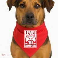 Level 10 Complete Video Gamer 10th Birthday USA-Made Doggie Bandana thumb 1