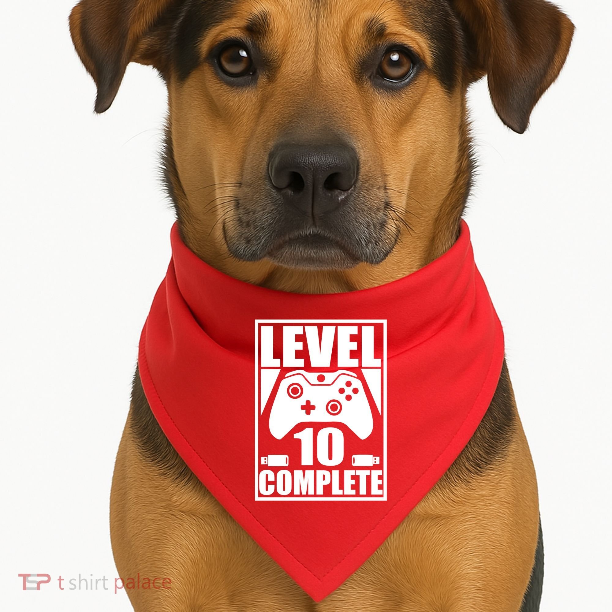 Level 10 Complete Video Gamer 10th Birthday USA-Made Doggie Bandana