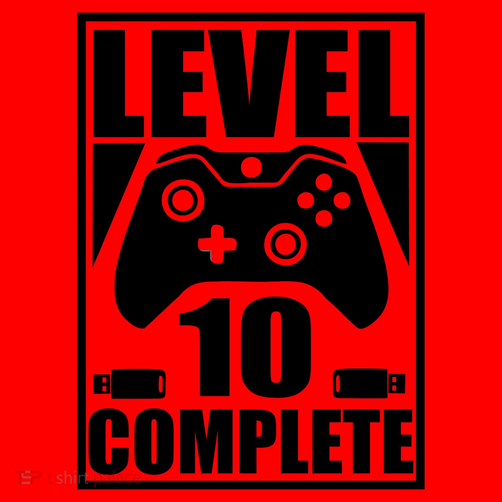 Level 10 Complete Video Gamer 10th Birthday Santa Hat