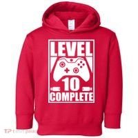 Level 10 Complete Video Gamer 10th Birthday Toddler Hoodie thumb 0