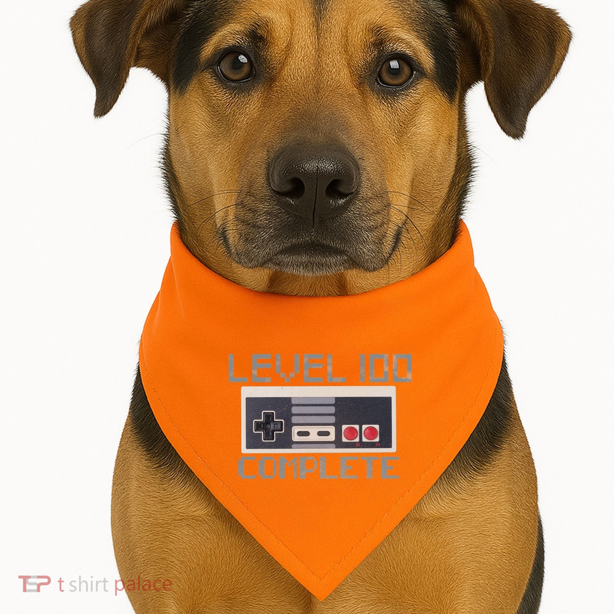 Level 100 Complete Retro Gamer 100th Birthday USA-Made Doggie Bandana