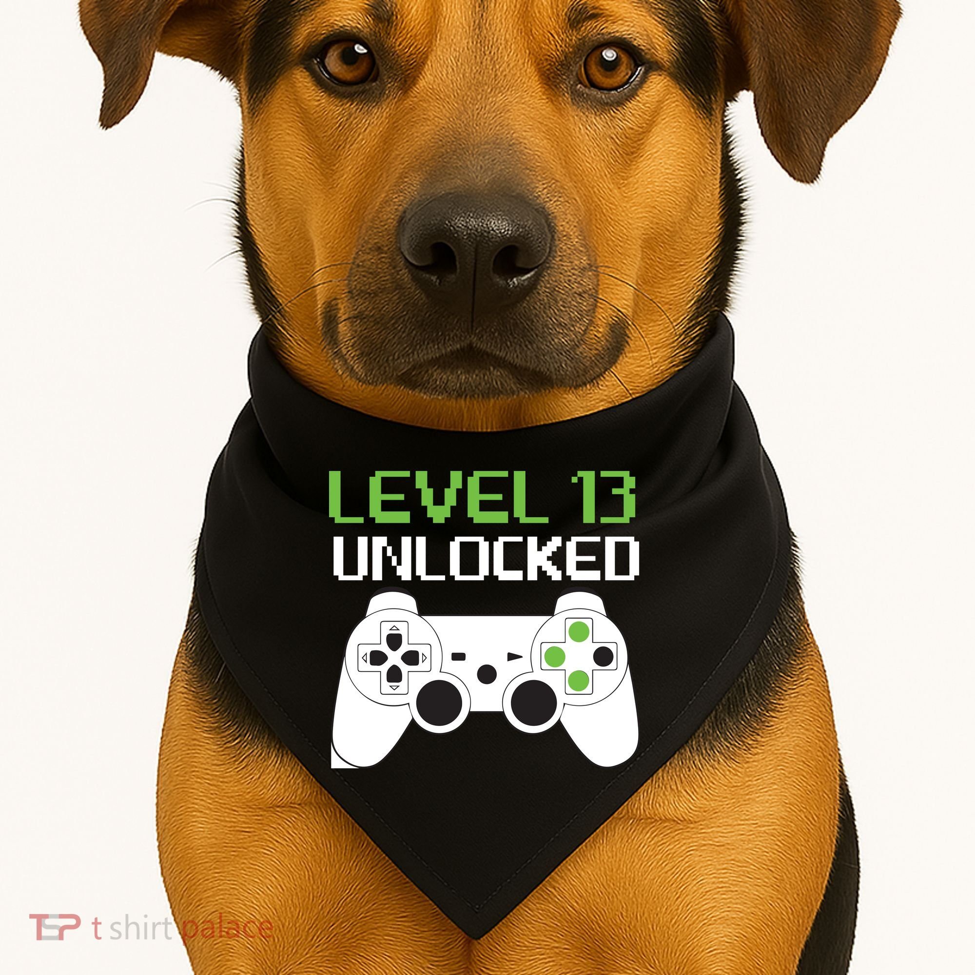 Level 13 Unlocked Teenager USA-Made Doggie Bandana