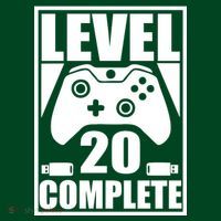 Level 20 Complete Gaming 20th Birthday Kids Hoodie thumb 2