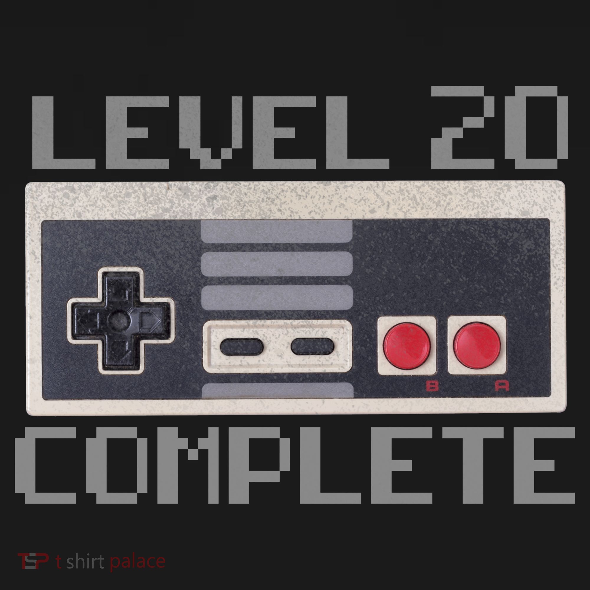 Level 20 Complete Retro Gamer 20th Birthday USA-Made Doggie Bandana