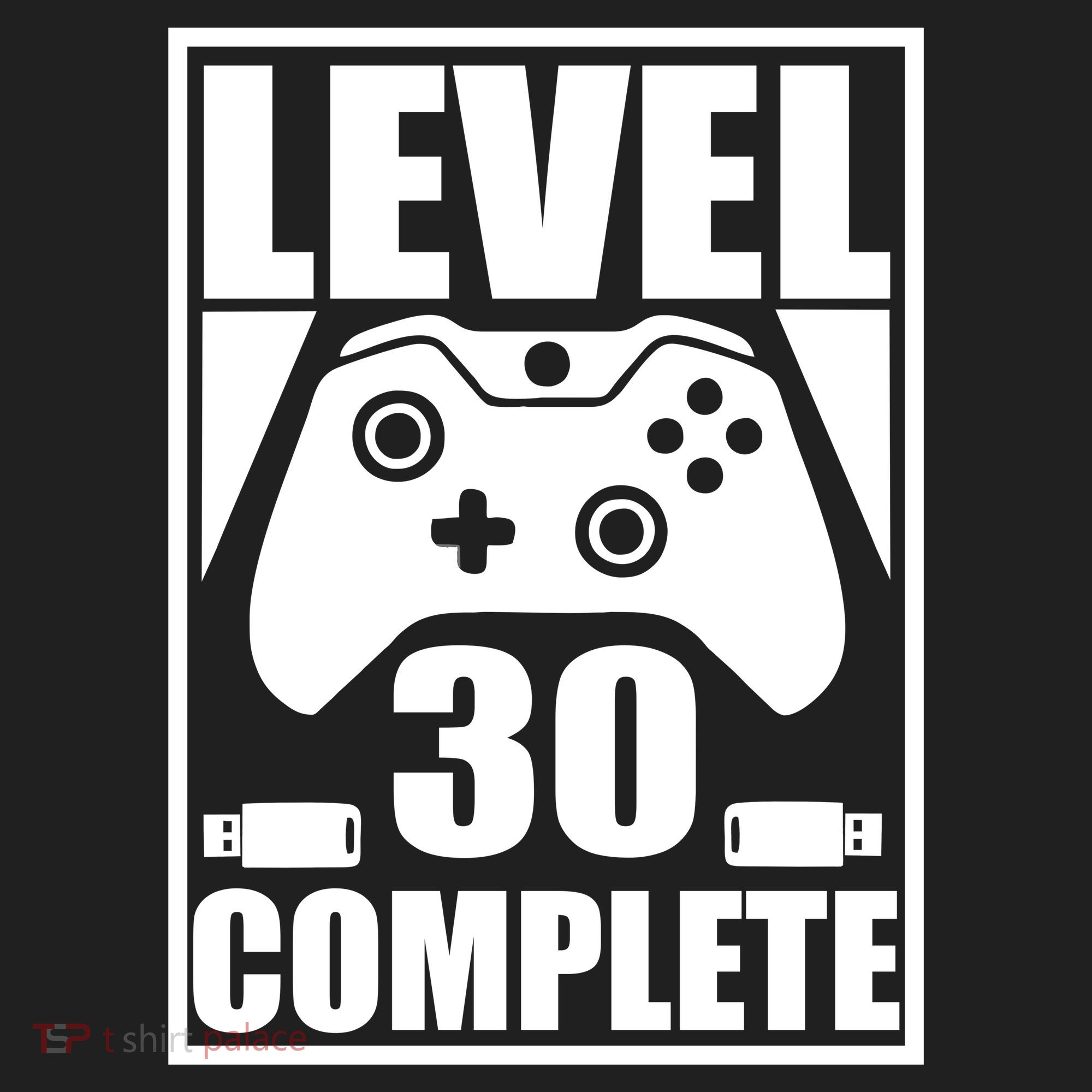 Level 30 Complete Video Gamer 30th Birthday Tumbler