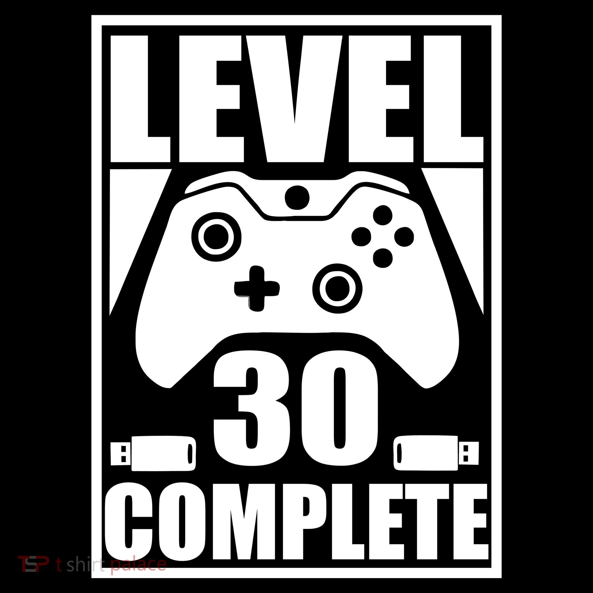 Level 30 Complete Video Gamer 30th Birthday Ornament