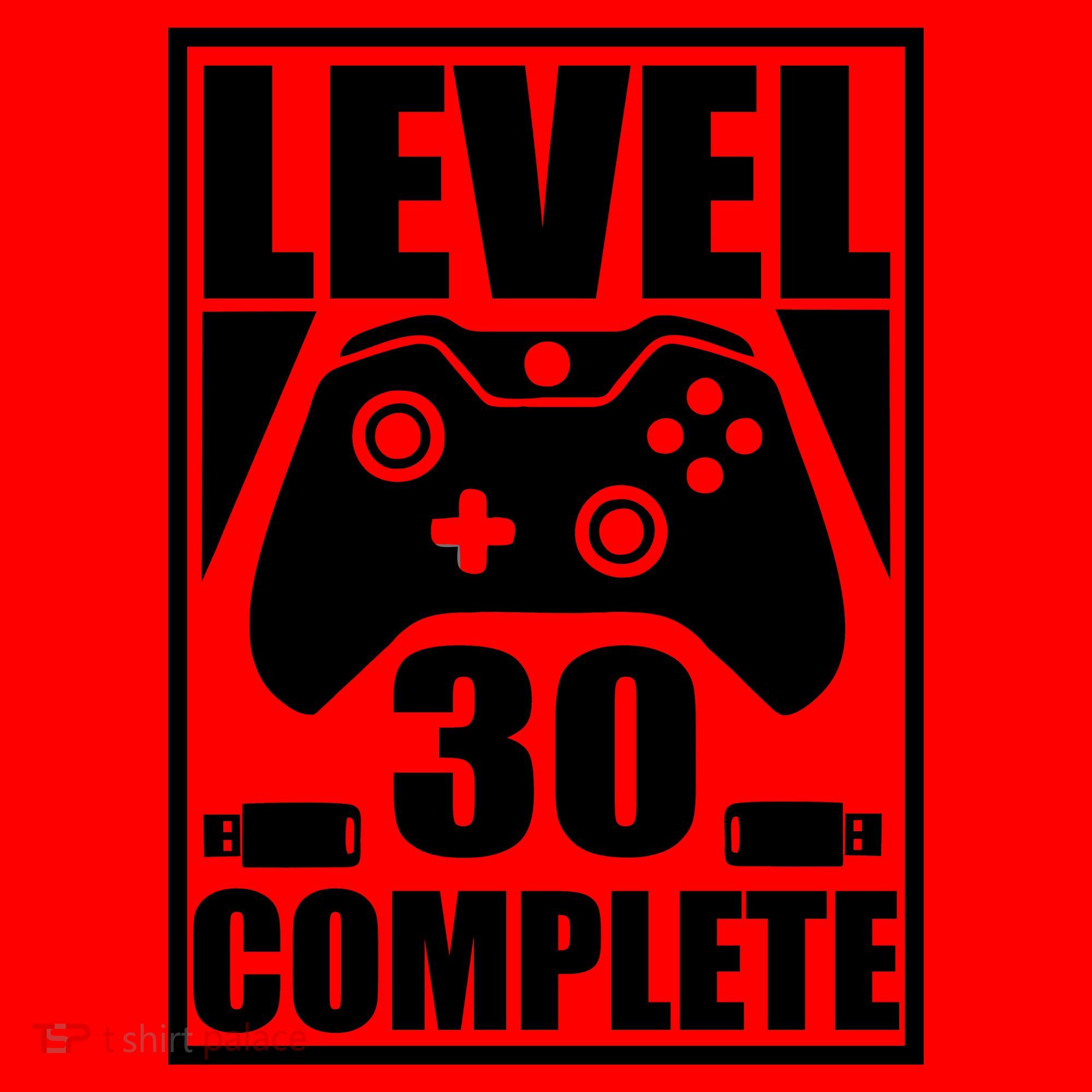 Level 30 Complete Video Gamer 30th Birthday Santa Hat