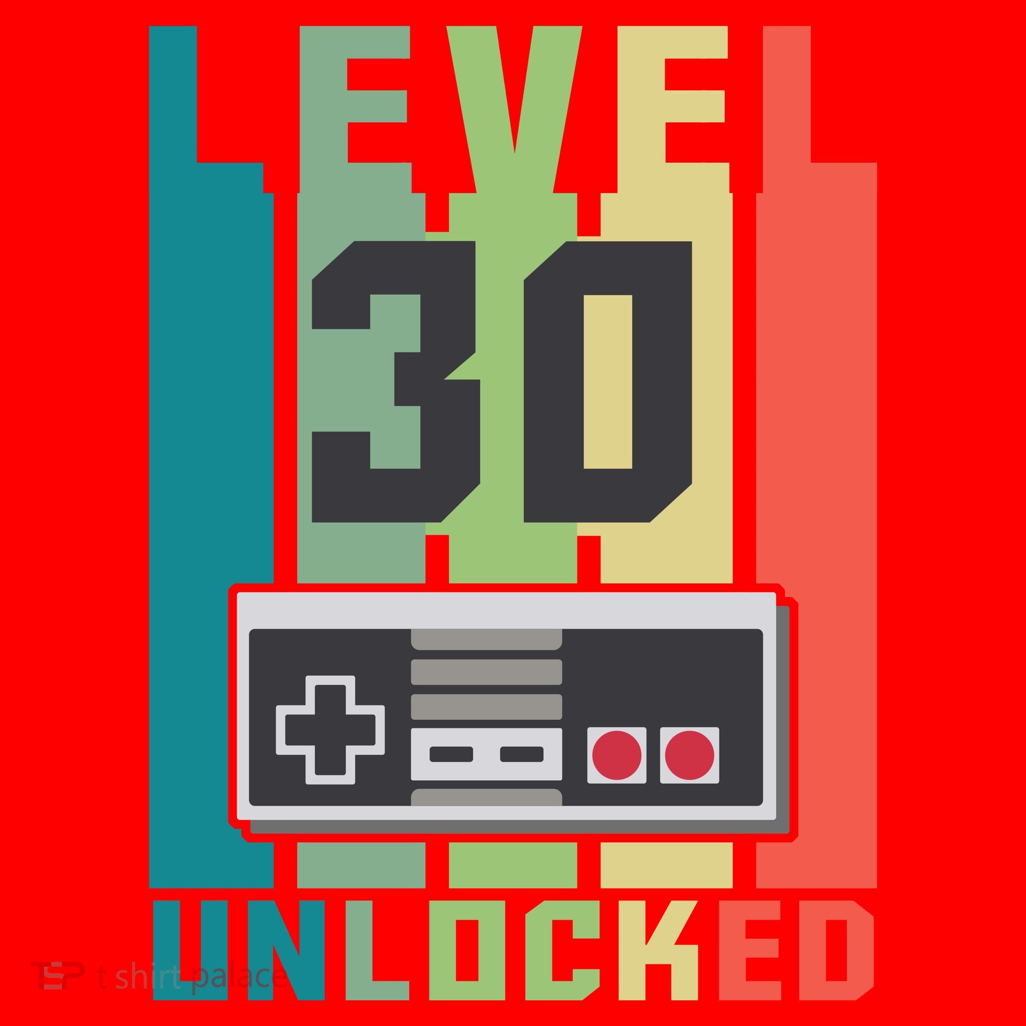 Level 30 Unlocked Funny Retro Gamer Birthday Santa Hat