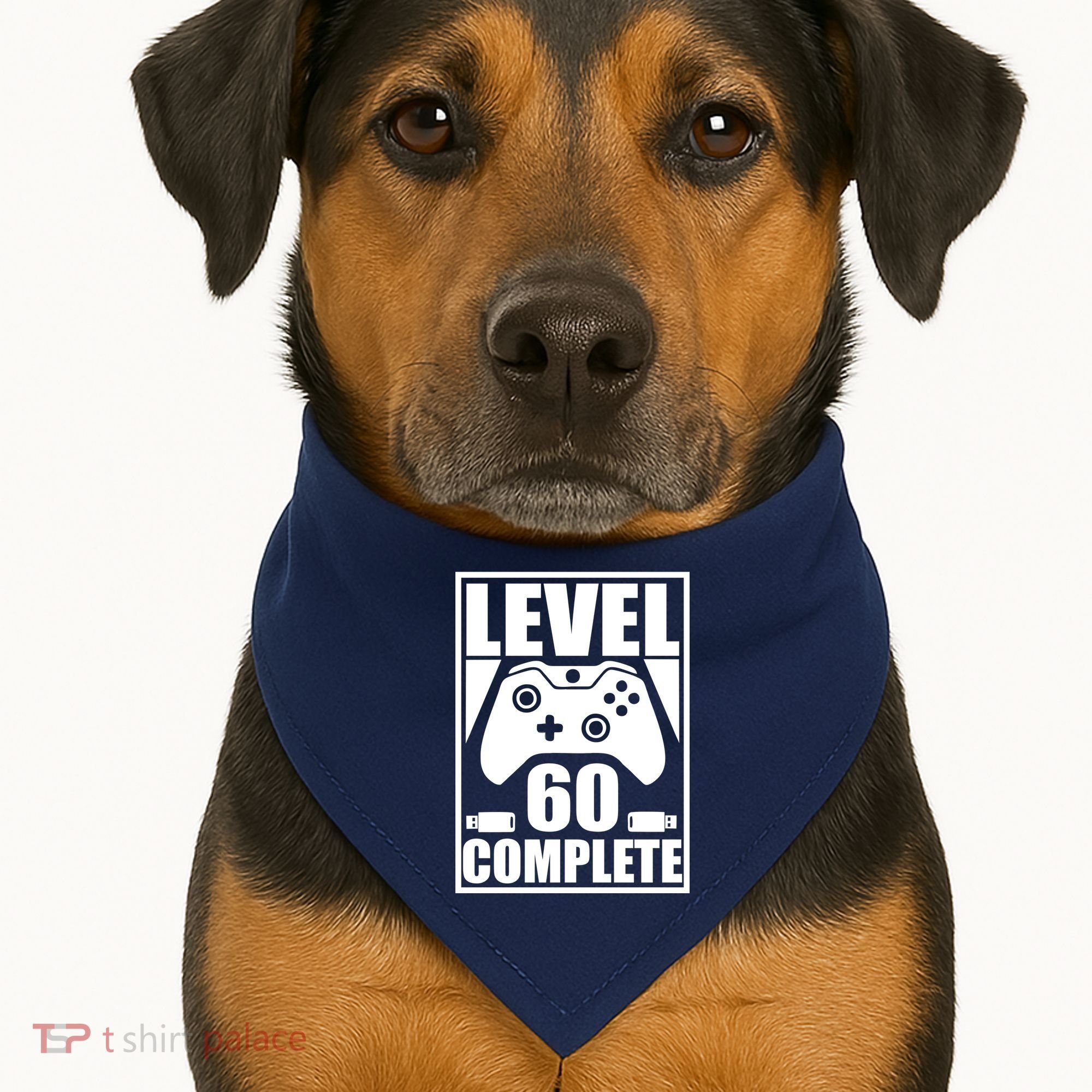 Level 60 Complete Video Gamer 60th Birthday USA-Made Doggie Bandana
