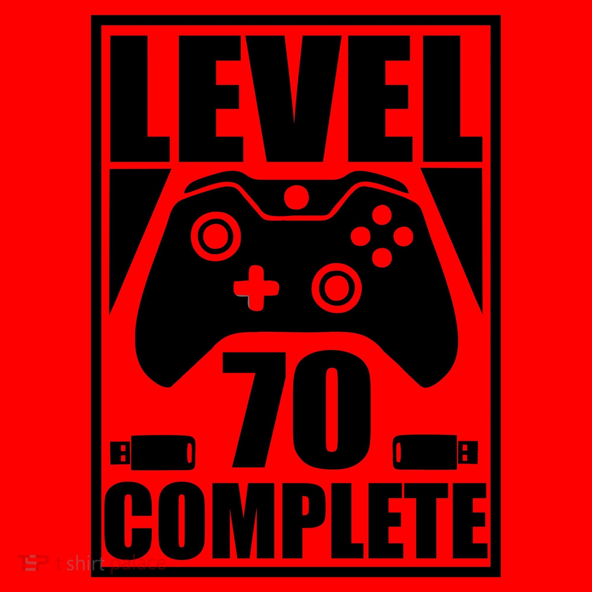 Level 70 Complete Video Gamer 70th Birthday Santa Hat