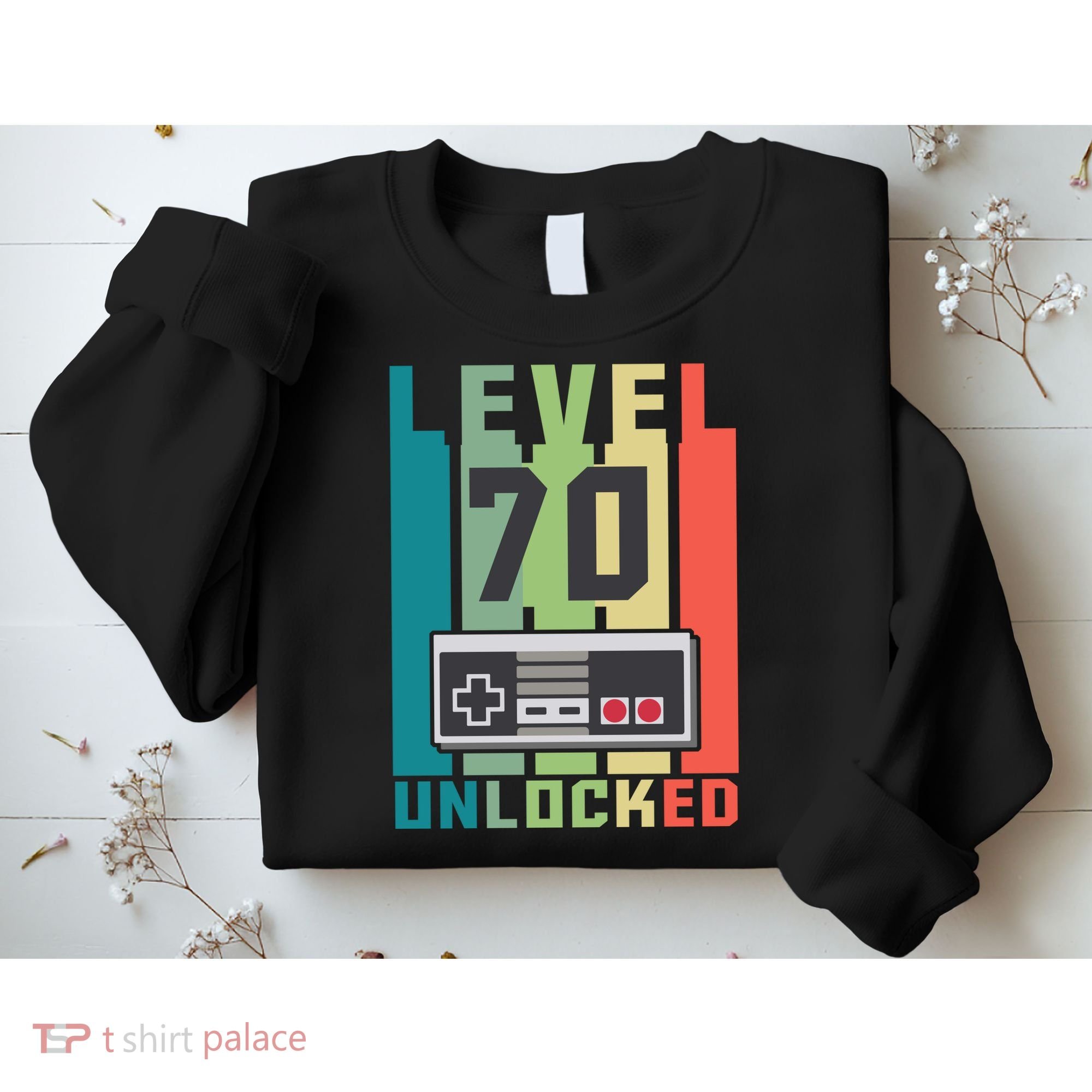 Level 70 Unlocked Funny Retro Gamer Birthday Sweatshirt