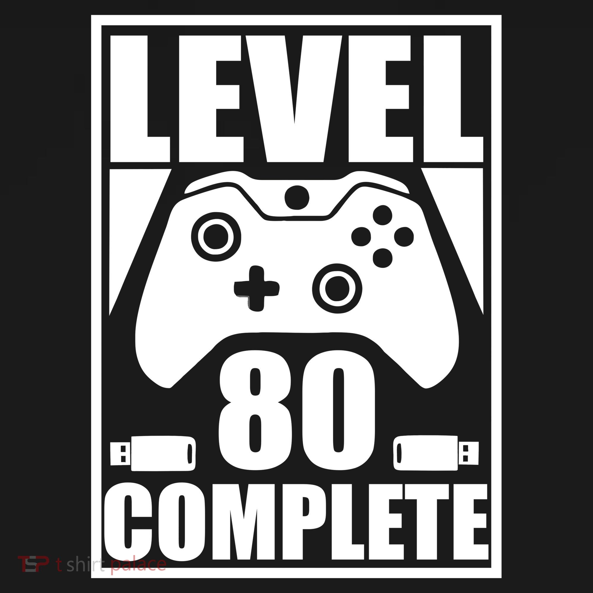 Level 80 Complete Video Gamer 80th Birthday Visor