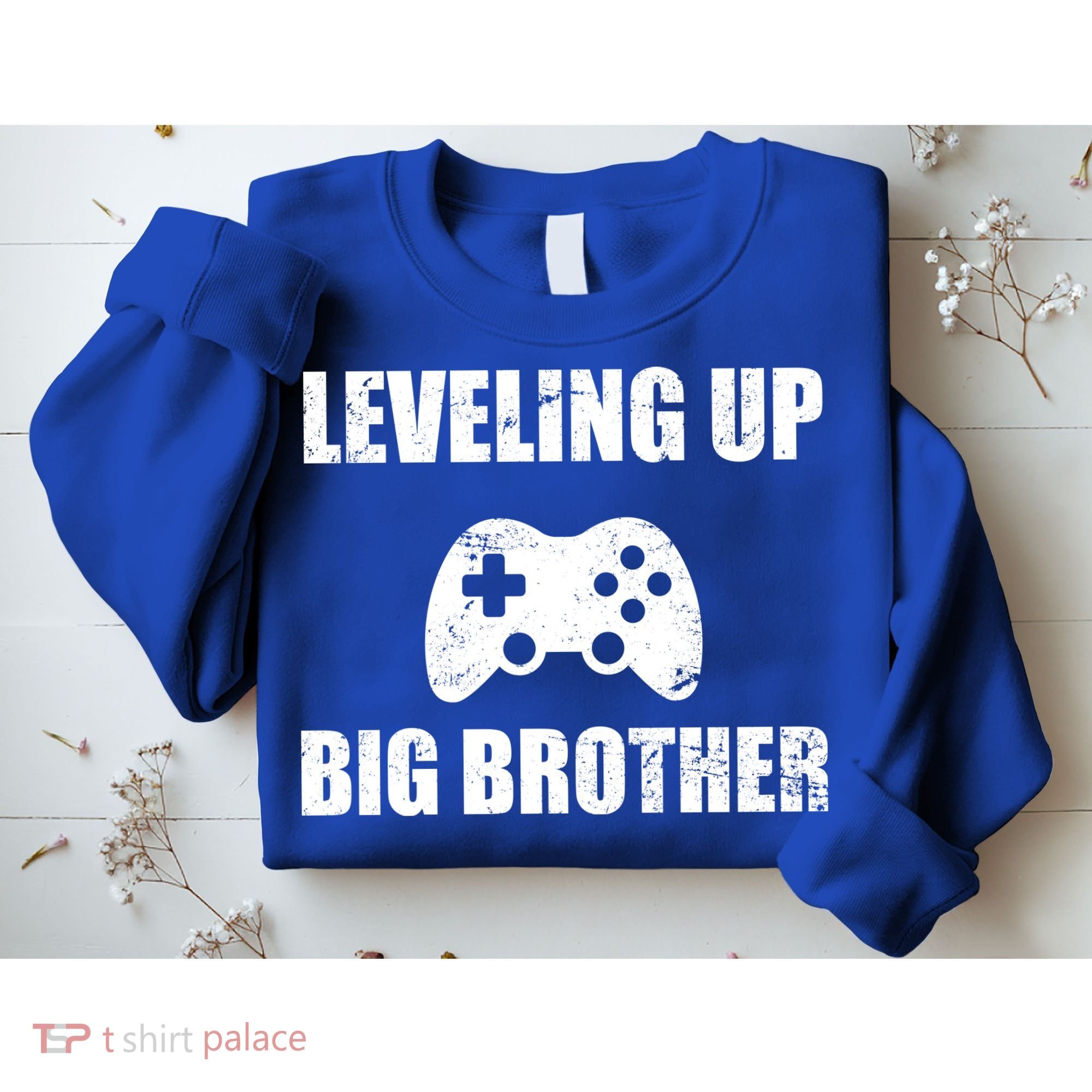 Leveling Up Big Brother Sweatshirt