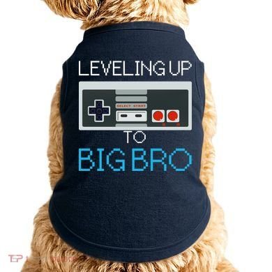 Leveling Up To Big Bro Doggie Tank