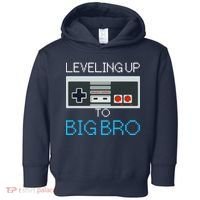 Leveling Up To Big Bro Toddler Hoodie thumb 0