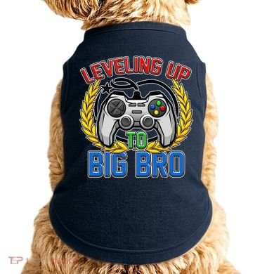Leveling Up To Big Bro Brother Video Gaming Doggie Tank