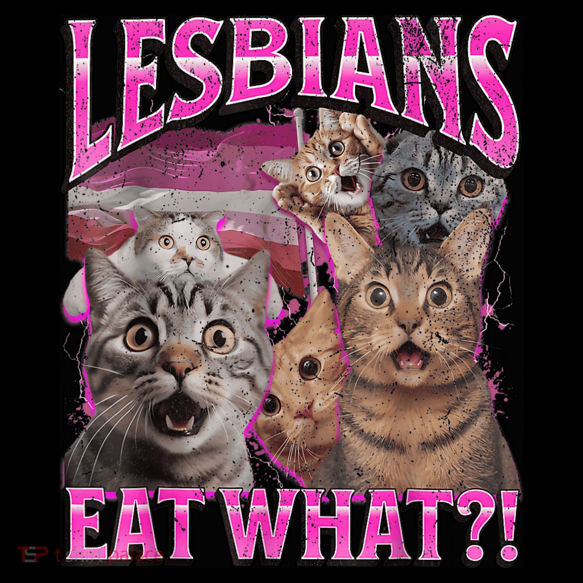Lesbians Eat What?! Funny Cat Pride Lgbtq Pun Women's Hoodie