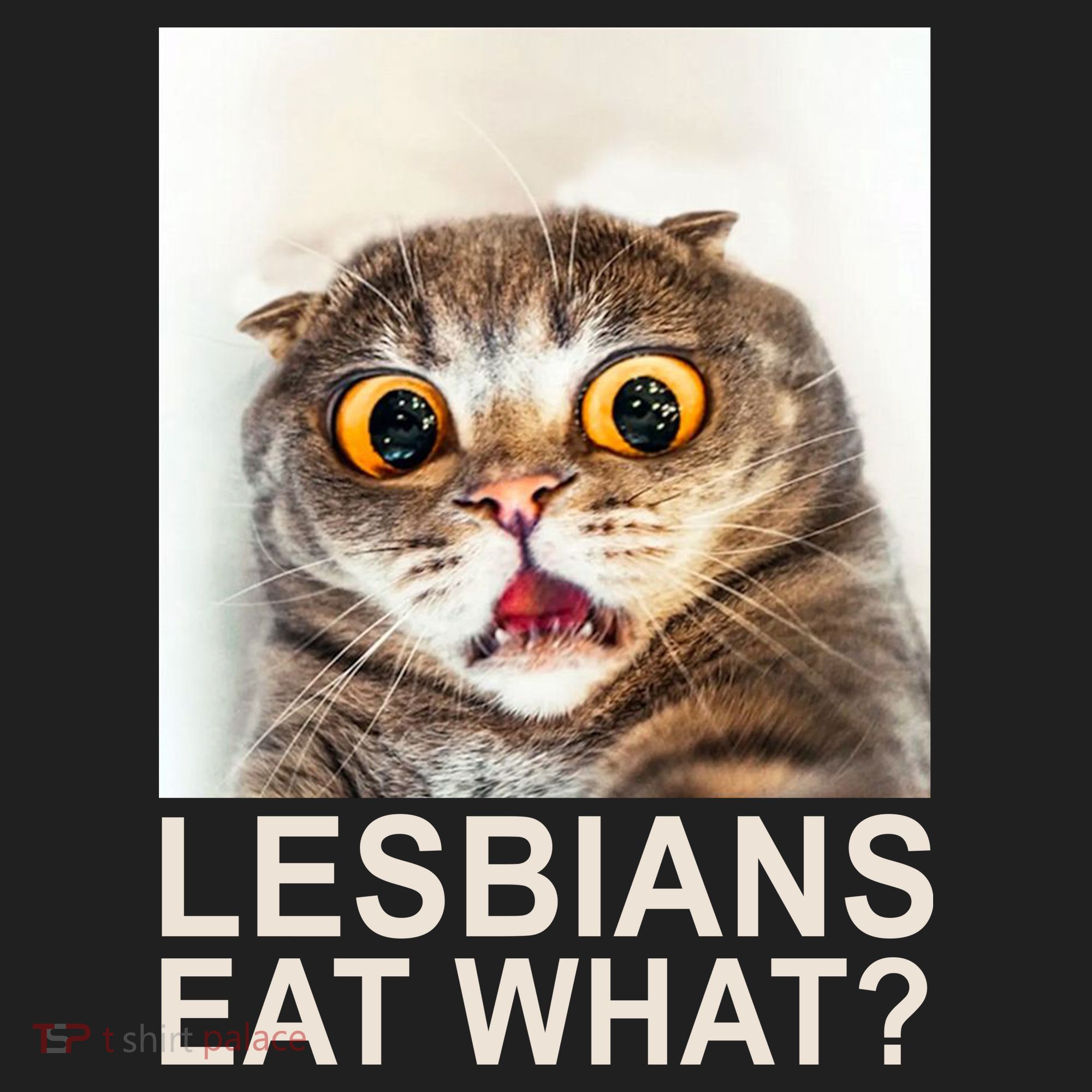 Lesbians Eat What Funny Cat Women's Sweatshirt