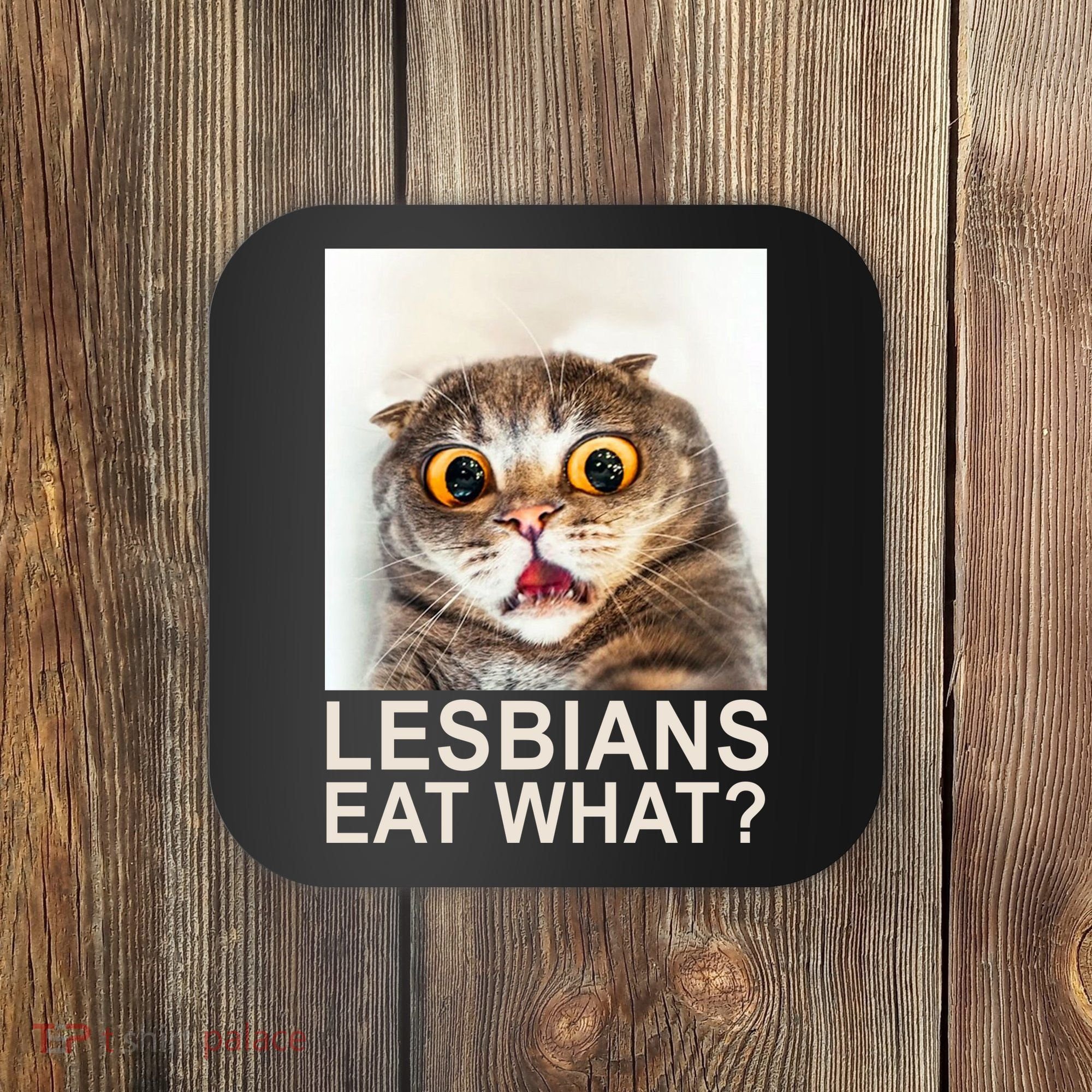 Lesbians Eat What Funny Cat Coaster