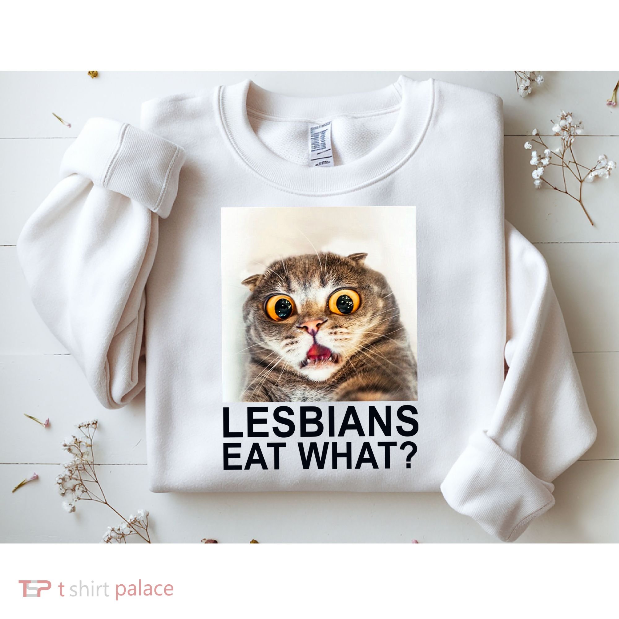 Lesbians Eat What Funny Cat Sweatshirt