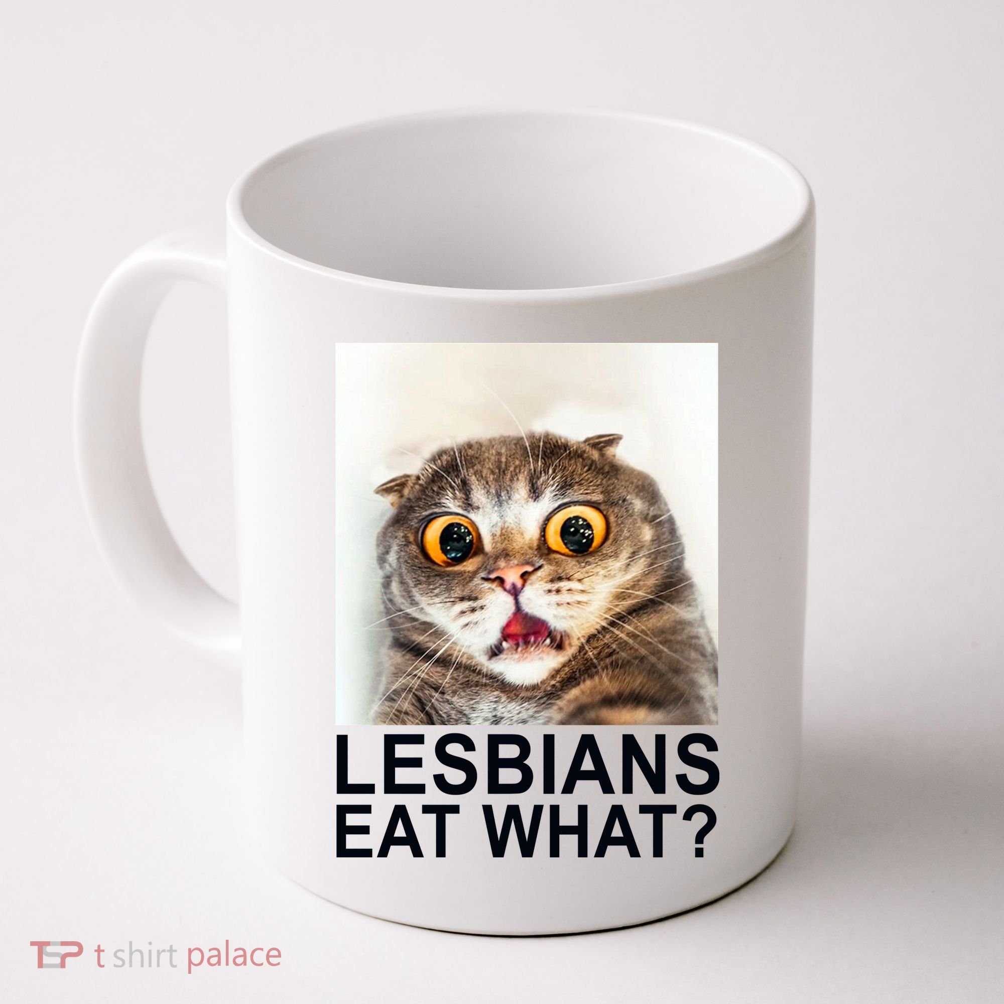 Lesbians Eat What Funny Cat Coffee Mug