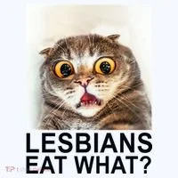 Lesbians Eat What Funny Cat Baby Bodysuit thumb 2