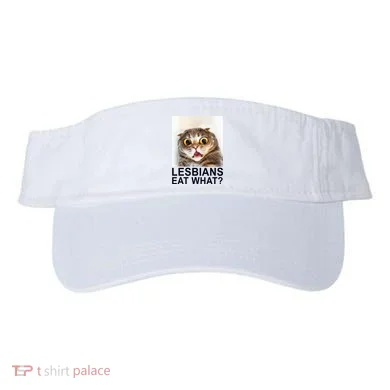 Visor