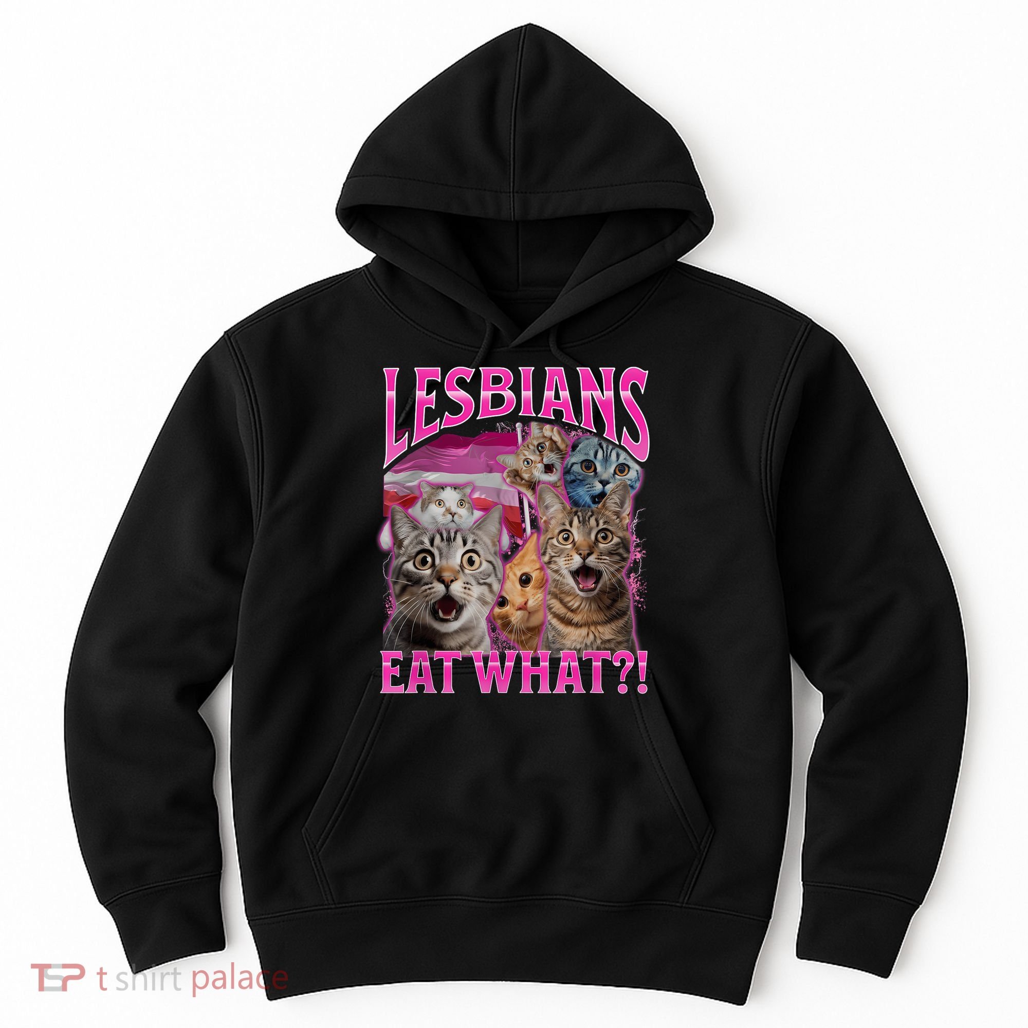 Lesbians Eat What Funny Offensive Cat Bootleg Sarcastic Hoodie