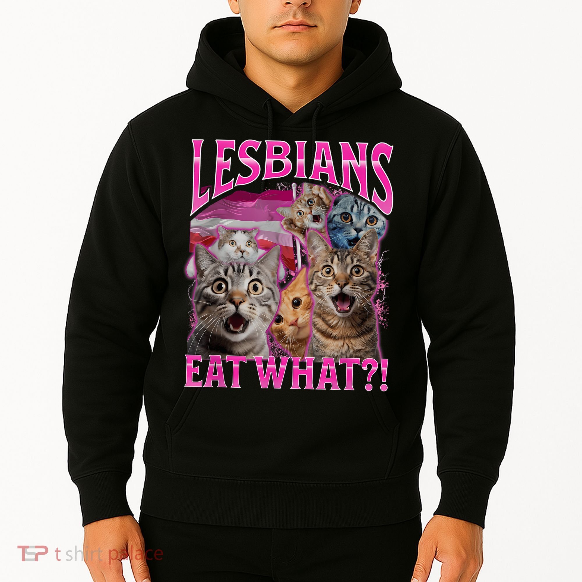 Lesbians Eat What Funny Offensive Cat Bootleg Sarcastic Hoodie