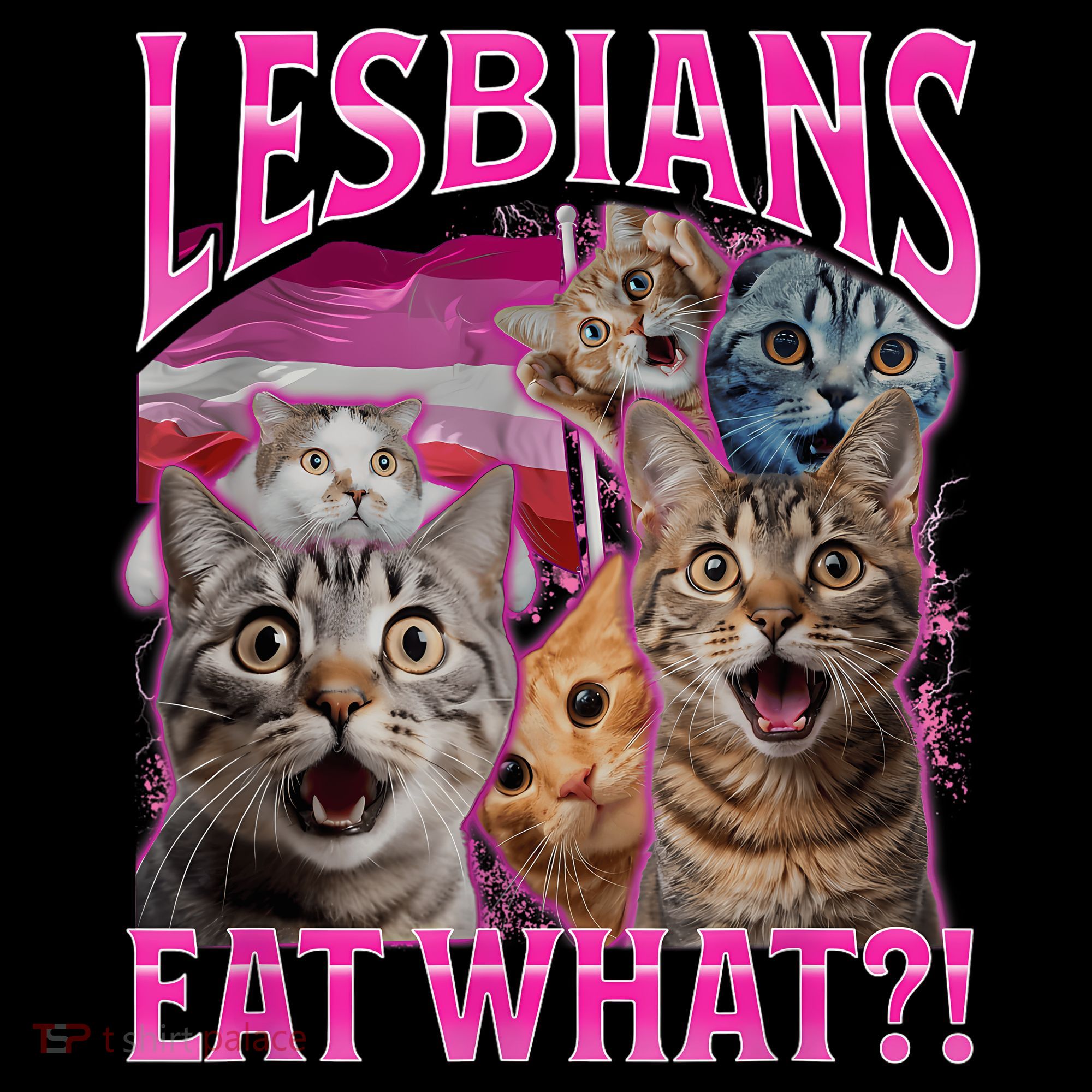 Lesbians Eat What Funny Offensive Cat Bootleg Sarcastic Women's Hoodie