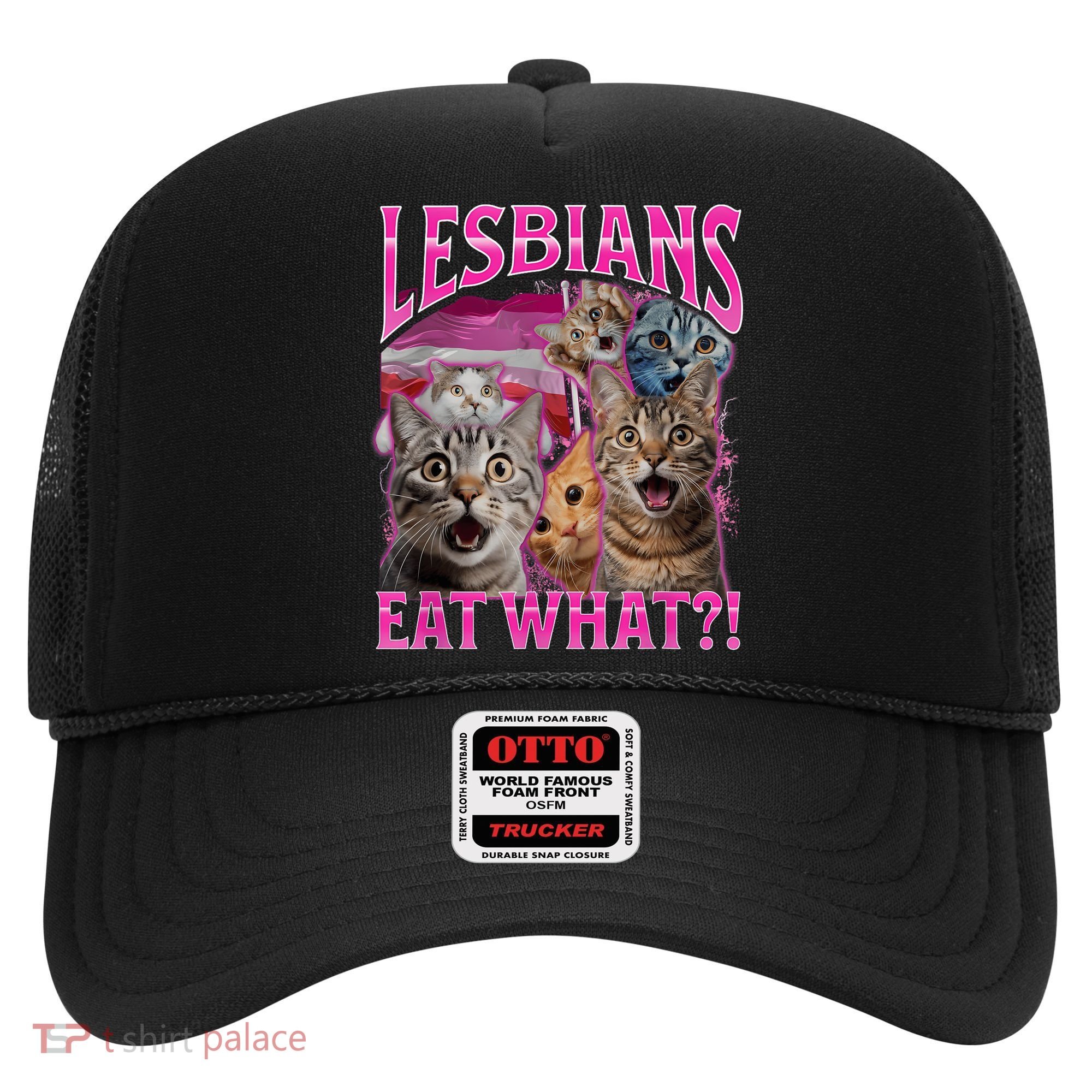 Lesbians Eat What Funny Offensive Cat Bootleg Sarcastic Hat