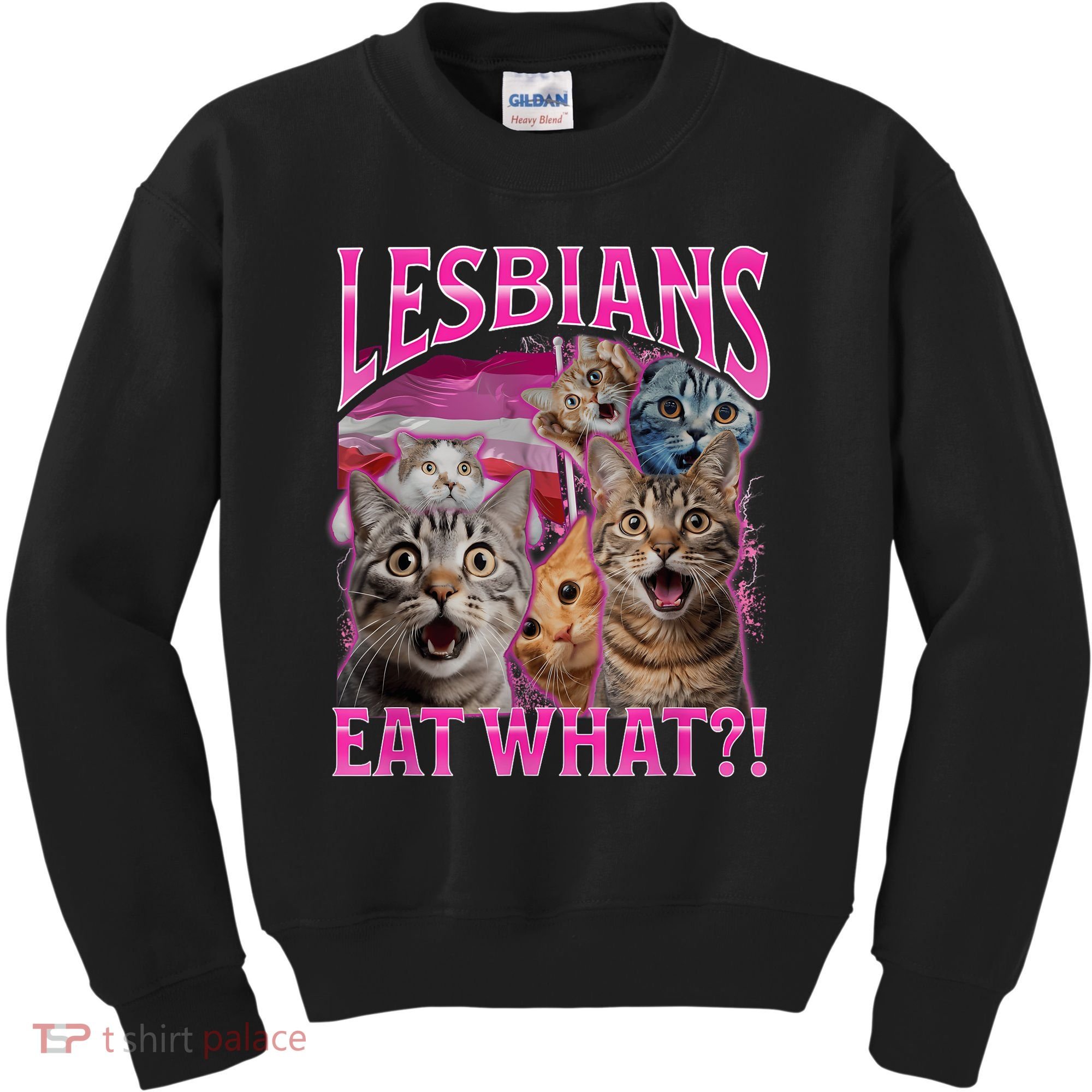 Lesbians Eat What Funny Offensive Cat Bootleg Sarcastic Kids Sweatshirt