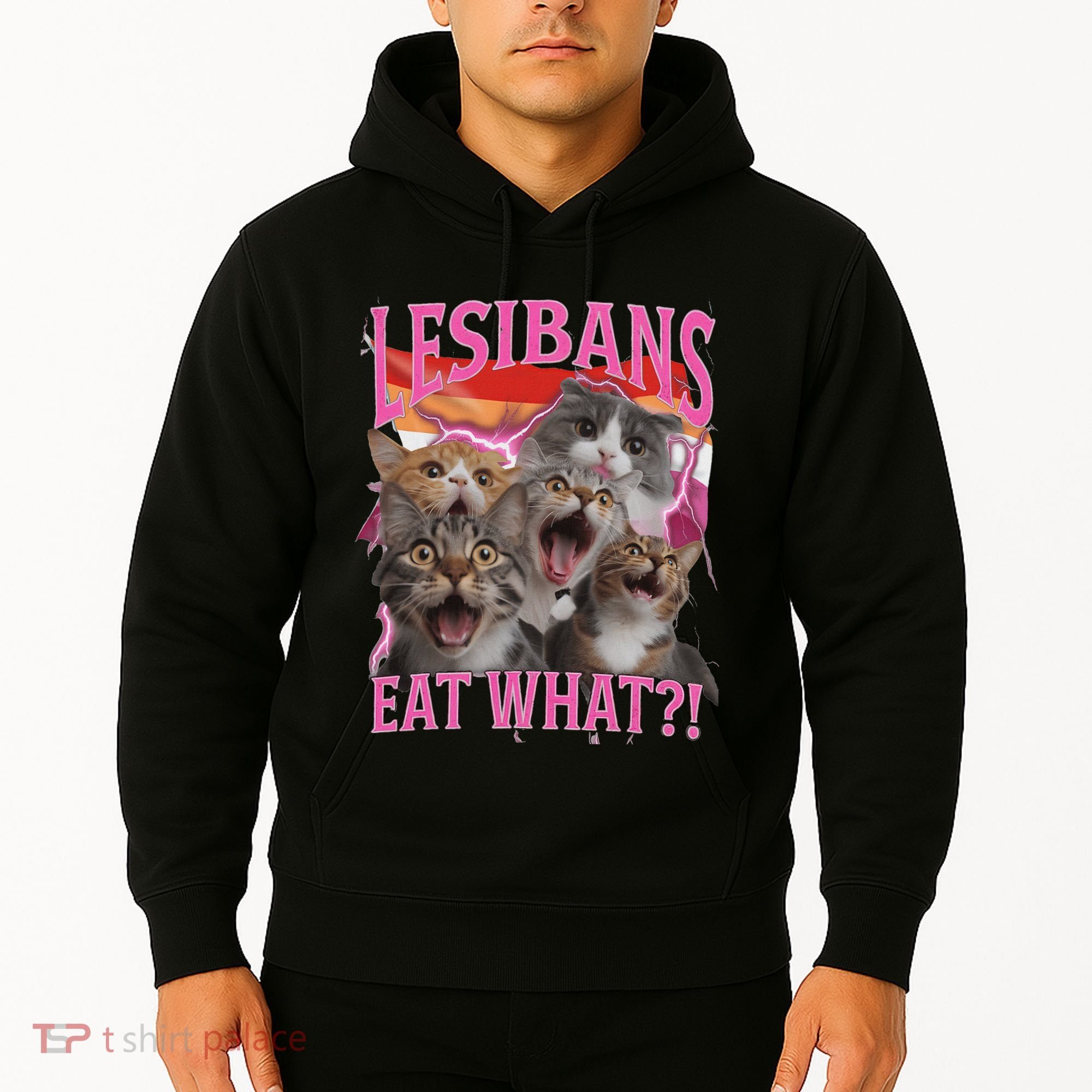 Lesbians Eat What Funny Offensive Cat Unhinged 90s Meme Hoodie