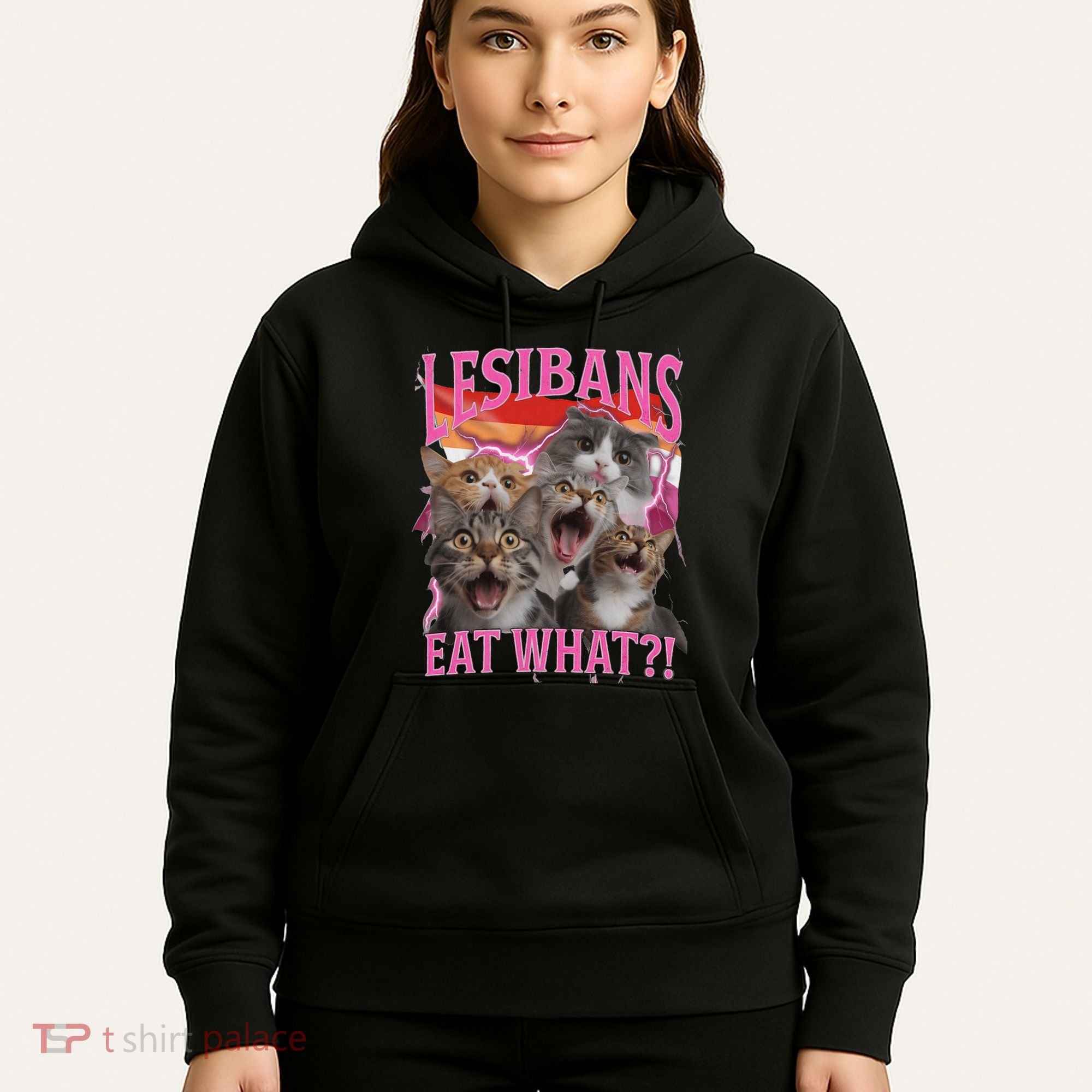 Lesbians Eat What Funny Offensive Cat Unhinged 90s Meme Hoodie