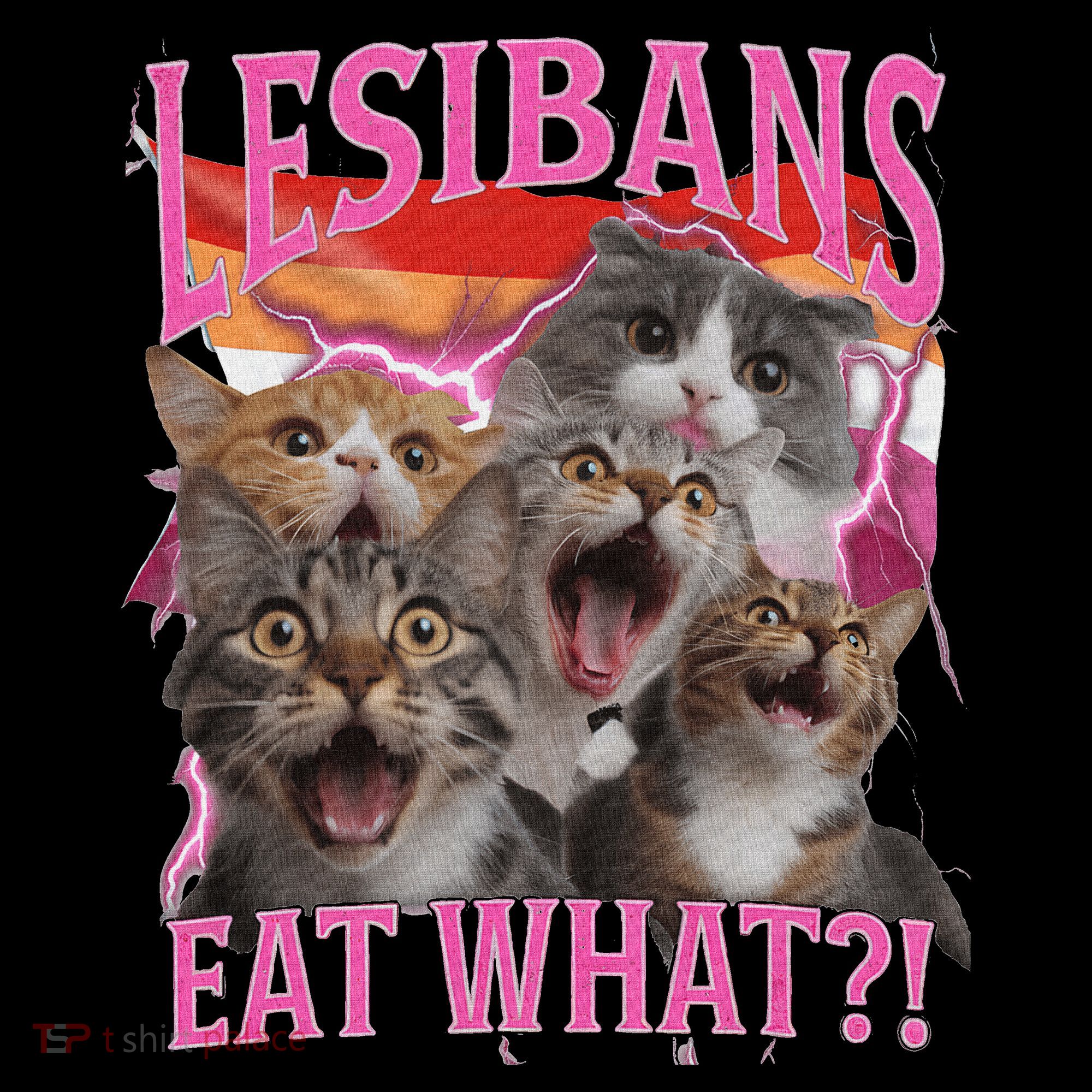 Lesbians Eat What Funny Offensive Cat Unhinged 90s Meme Ornament