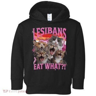 Lesbians Eat What Funny Offensive Cat Unhinged 90s Meme Toddler Hoodie