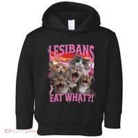 Lesbians Eat What Funny Offensive Cat Unhinged 90s Meme Toddler Hoodie thumb 0