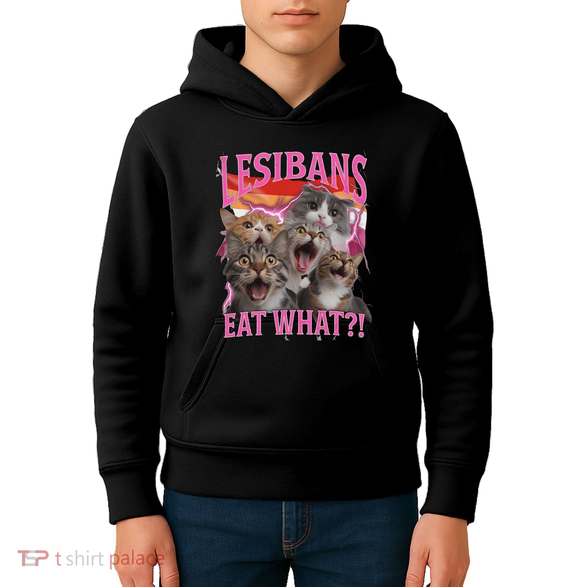 Lesbians Eat What Funny Offensive Cat Unhinged 90s Meme Kids Hoodie