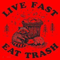 Live Fast Eat Trash Raccoon Possum Santa Hat thumb 1