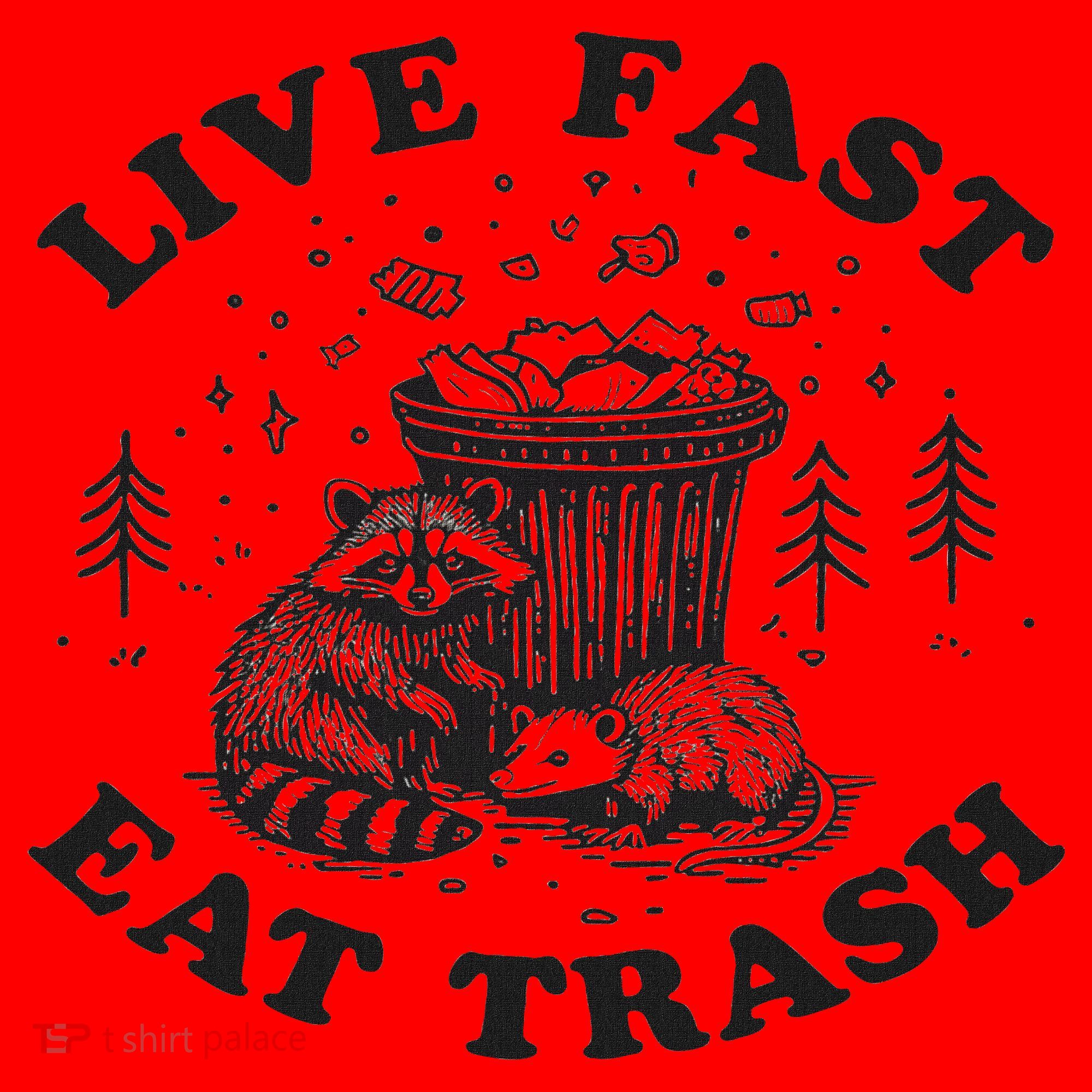 Live Fast Eat Trash Raccoon Possum Santa Hat