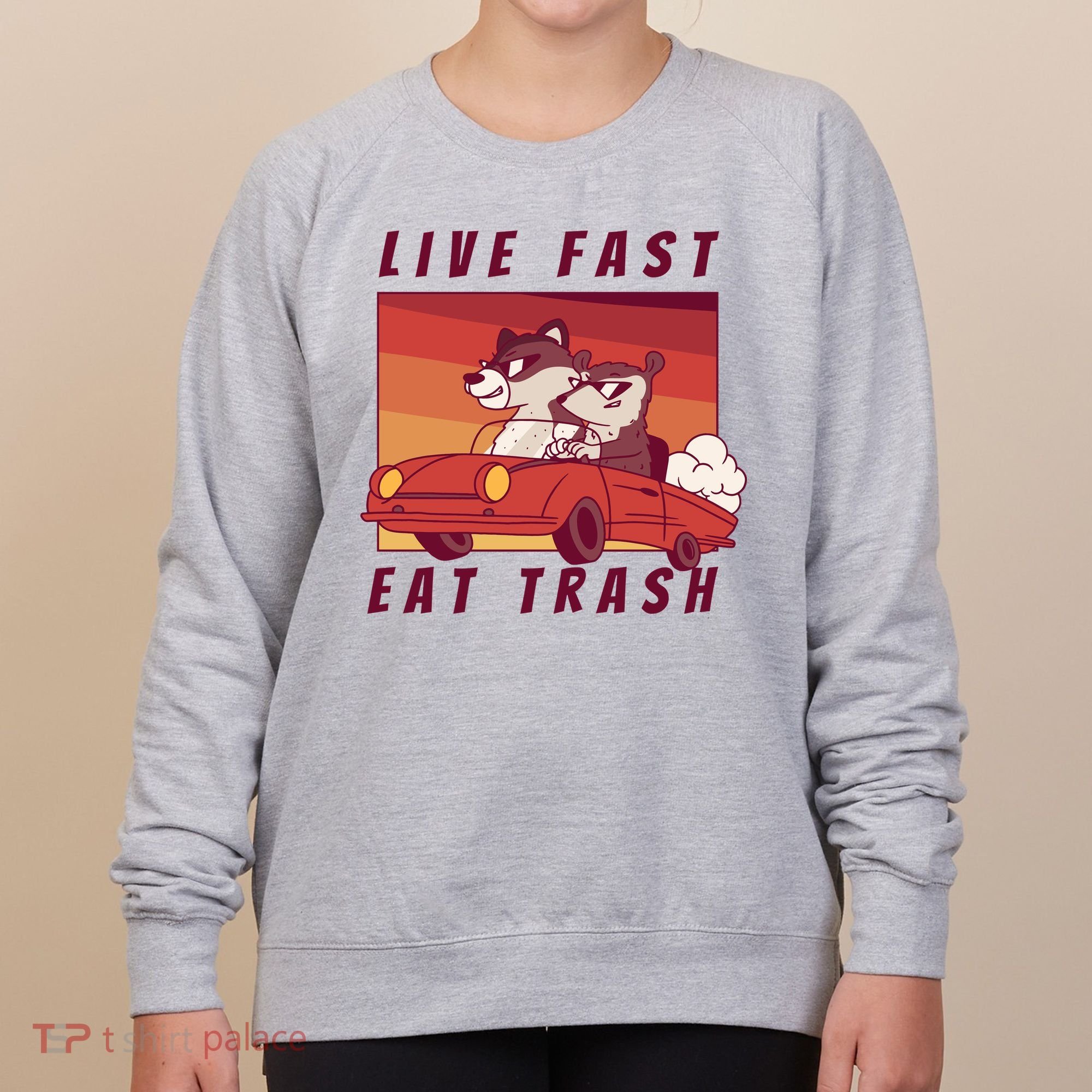 Live Fast Eat Trash Race Car Funny Raccoon Women's Sweatshirt